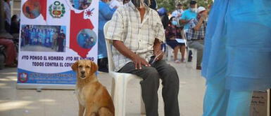Piura: adulto mayor de 85 años acudió a vacunarse contra el COVID-19 acompañado de su perrito Piura: adulto mayor de 85 años acudió a vacunarse contra el COVID-19 acompañado de su perrito