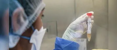 COVID-19: Nueva variante C.37 de coronavirus que evadiría anticuerpos se expande en Perú y Chile Nueva variante C.37 de la COVID-19 que esquivaría anticuerpos se propaga en Perú y Chile