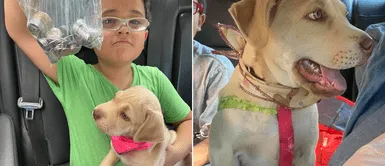 Niño ahorró todas sus propinas para pagar las vacunas de su perra adoptada Niño ahorró todas sus propinas para pagar las vacunas de su perra adoptada