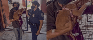 Indigente fue apuñalado por delincuentes y pidió que cuidaran de su perro Indigente fue apuñalado por delincuentes y pidió que cuidaran de su perro