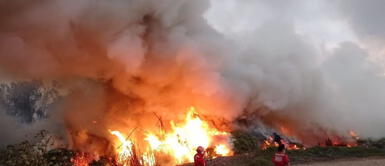 Áncash: incendio forestal destruye 35 hectáreas de pastizales en distrito de Nepeña Áncash: incendio forestal destruye 35 hectáreas de pastizales en distrito de Nepeña