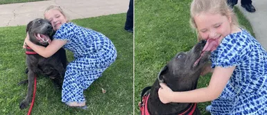 Cachorra consoló a una niña desconocida durante el funeral de su padre Cachorra consoló a una niña desconocida durante el funeral de su padre