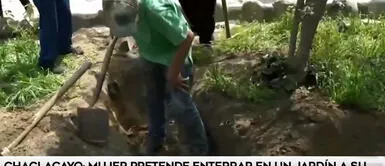 Mujer enterraría a su hermano en el jardín de su casa debido a la falta de nichos Mujer enterraría a su hermano en jardín de su casa debido a la falta de nichos