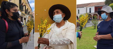 Municipalidad de Huamanga piden que Milagros Leiva se rectifique sobre sus declaraciones en referencia a la canción. Ayacucho: entregan flores de retama en rechazo a afirmación de Milagros Leiva