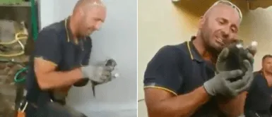 Bombero llora tras rescatar a un gato recién nacido debajo de una casa Bombero llora tras rescatar a un gato recién nacido debajo de una casa