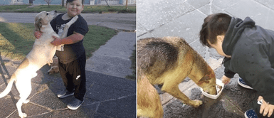 Niño organizó una rifa para comprar alimento y ayudar a los perros callejeros Niño organizó una rifa para comprar alimento y ayudar a los perros callejeros