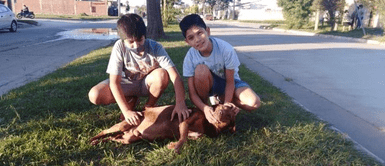 Dos niños rescataron a perro que había sido abandonado por sus dueños en la basura Dos niños rescataron a perro que había sido abandonado por sus dueños en la basura