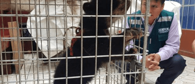 ¿Por qué es clave la buena convivencia humana con la fauna silvestre? ¿Por qué es clave la buena convivencia humana con la fauna silvestre?