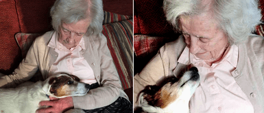 Anciana de 96 años adoptó a un perro adulto de 17 años: Anciana de 96 años adoptó a un perro adulto de 17 años: "Era el indicado para mí"