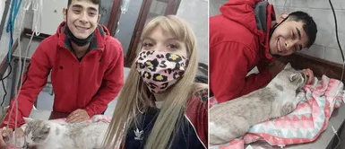 Joven atropelló un gato, lo llevó al veterinario y esperó su recuperación Joven atropelló un gato, lo llevó al veterinario y esperó su recuperación