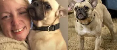 Mujer es criticada al confesar que ama más a su perro que a su hijo Mujer es criticada al confesar que ama más a su perro que a su hijo