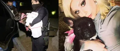 Arrestaron a cinco personas involucradas en el robo de los perros de Lady Gaga Arrestaron a cinco personas involucradas en el robo de los perros de Lady Gaga