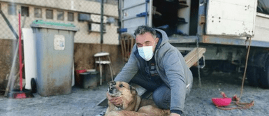 Hombre de 48 años vive en su camioneta junto a sus dos perros: Hombre de 48 años vive en su camioneta junto a sus dos perros: "Los van a matar"