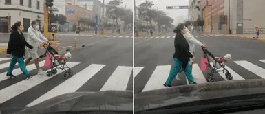 Centro de Lima: Pareja utilizó coche de bebé para dar unas vueltas con su cachorro Centro de Lima: Pareja fue captada paseando a su cachorra en un coche de bebé