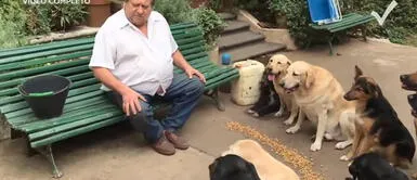Encantador de perros argentino agradece a Dios junto a sus perros antes de alimentarlos Encantador de perros argentino agradece a Dios junto a sus mascotas antes de alimentarlos