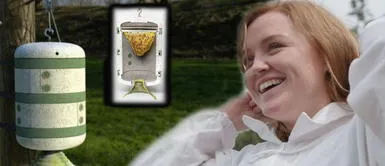 Colmena hecha de hongos defienden a abejas de enfermedades fue creada por estudiante Colmena hecha de hongos defiende a las abejas de enfermedades