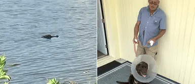 Anciano se enfrentó a un caimán para evitar que su cachorro sea tragado Anciano se enfrentó a un caimán para evitar que su cachorro sea tragado