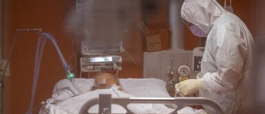 Australia: Joven celebró graduación junto a su padre internado en un hospital Australia: Joven celebró graduación junto a su padre internado en un hospital