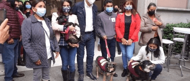 Crearán primer hospital de rescate animal y tendrá ambulancias las 24 horas Crearán primer hospital de rescate animal y tendrá ambulancias las 24 horas