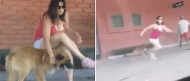 Mujer acudió al tren con su perro, lo llenó de cariños y corrió hasta abandonarlo Mujer acudió al tren con su perro, lo llenó de cariños y corrió hasta abandonarlo