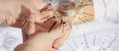 Científicos chinos que identificaron el COVID dicen que puede llegar otra pandemia Expertos chinos que identificaron la COVID-19 advierten llegada de otra pandemia