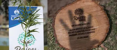 Los interesados pueden ingresar a www.serpar.gob.pe para obtener más información. MML permitirá a las personas plantar un árbol para recordar momentos importantes