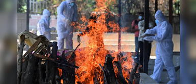 COVID-19 India: Pacientes infectados superan el coronavirus pero mueren por hongo negro mucormicosis India: Pacientes que superaron la COVID-19 terminaron falleciendo por infección de 'hongo negro'