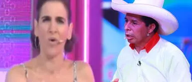 Gigi Mitre habla de posible triunfo de Pedro Castillo Gigi Mitre sobre posible triunfo de Castillo: "Seremos tan pobres que saldremos caminando como Venezuela"