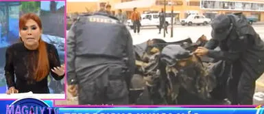 Magaly Medina opina sobre el ataque terrorista Magaly Medina sobre ataque terrorista: 'En el Perú tiene que ganar la democracia, el terrorismo jamás'