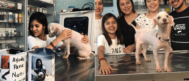 Niña gastó todo su dinero ahorrado para ayudar a una cachorra callejera con cáncer Niña gastó todo su dinero ahorrado para ayudar a una cachorra callejera con cáncer