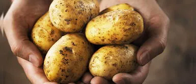 Este 30 de mayo se celebra el Día Nacional de la Papa. Día Nacional de la Papa: ¿cuáles son los beneficios nutricionales de este tubérculo?