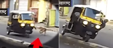Hombre que manejaba mototaxi intentó patear a un perro callejero y se termina volcando Hombre que manejaba mototaxi intentó patear a un perro callejero y se termina volcando