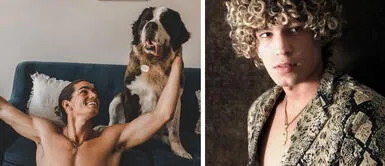 Magaly Medina se indigna con Giuseppe Benignini por enfermedad de su perro Magaly Medina se indigna con Giuseppe Benignini por enfermedad de su perro: “Esto es maltrato animal”