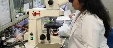 COVID-19 | ¿Hay forma de saber si la vacuna que me aplicaron ha generado anticuerpos? COVID-19 | ¿Hay forma de saber si la vacuna que me aplicaron ha generado anticuerpos?