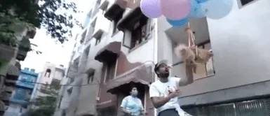 Youtuber fue denunciado por amarrar a su cachorra a unos globos de helio y hacerla Youtuber fue denunciado por amarrar a su cachorra a unos globos de helio y hacerla "volar"