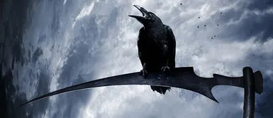 Cuervos negros: significado de soñar con estos animales. ¿Qué significa que un cuervo negro aparezca en mis sueños?