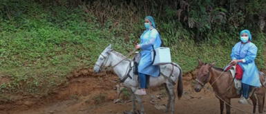 A lomo de mula llegan las vacunas a la Sierra Nevada Enfermeras se trasladan en lomo de caballo para vacunar contra la COVID-19