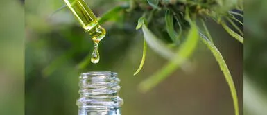 Miraflores: Abren primera farmacia que pone a la venta cannabis medicinal Abren primer establecimiento que pone a la venta cannabis medicinal en Miraflores