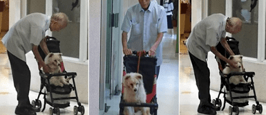 Anciano utiliza un coche de bebé para pasear con su cachorro por el centro comercial Anciano utiliza un coche de bebé para pasear con su cachorro por el centro comercial