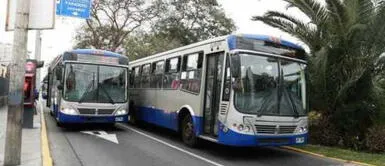 Conoce los horarios de transporte público establecido para este domingo 6 de junio. ¿Cuáles son los horarios del transporte público en Lima y Callao para el domingo 6 de junio?
