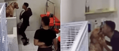 Joven que trabaja en veterinaria baila y abraza a los perros antes de bañarlos Cámaras graban a joven que trabaja en veterinaria bailar y besar a un perro antes de bañarlo