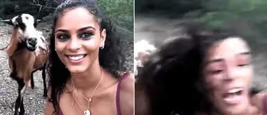 Mujer intentó sacarse una fotografía con una cabra, pero terminó recibiendo un cabezazo Mujer intentó sacarse una fotografía con una cabra, pero terminó recibiendo un cabezazo