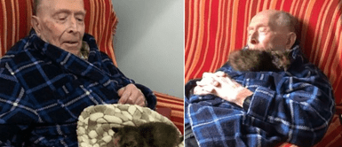 Abuelo de 100 años decidió adoptar a un gato para combatir su soledad: Abuelo de 100 años decidió adoptar a un gato para combatir su soledad: "Sus ojos se iluminaron"