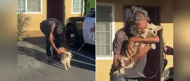 Anciano sin hogar se emocionó tras encontrarse con su perro extraviado: Anciano sin hogar se emocionó tras encontrarse con su perro extraviado: "Él es mi vida"