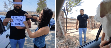 Joven terminó con su pareja tras abandonar al perro que adoptaron por no ser de raza Joven terminó con su pareja tras abandonar al perro que adoptaron por no ser de raza