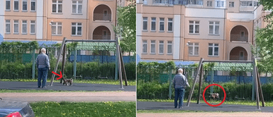 Captan a anciano jugar en los columpios junto a su gato: Captan a anciano jugar en los columpios junto a su gato: "No trajiste a tus nietos al parque"