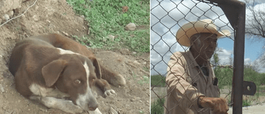 Cachorro esperó por días a su dueño atrapado en el derrumbe de una mina: Cachorro esperó por días a su dueño atrapado en el derrumbe de una mina: "Sabía que estaba ahí"