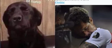 Epicentro de sismo de magnitud 6 fue en Chilca, Cañete. Sismo en Lima: Los memes que inundaron las redes sociales tras el fuerte movimiento telúrico