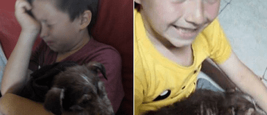 Niño de 7 años se enfrentó a un grupo de bravucones para salvar a un cachorro Nilo de 7 años peleó con bravucones por defender a un cachorro que estaba siendo maltratado