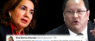 Elvia Barrios niega facultades para separar al presidente del JNE Elvia Barrios asegura no tener facultades para separar al presidente del JNE